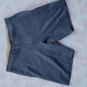 Burnside Blue Men Shorts